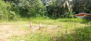 Horana බිම් කොටස් විකිණීමට