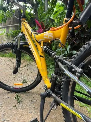 Bicycle Dsi