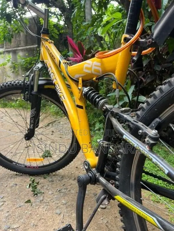 Bicycle Dsi
