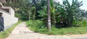 Horana බිම් කොටස් විකිණීමට
