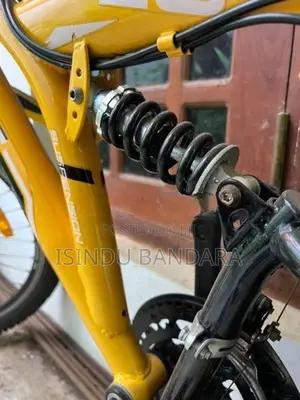 Bicycle Dsi