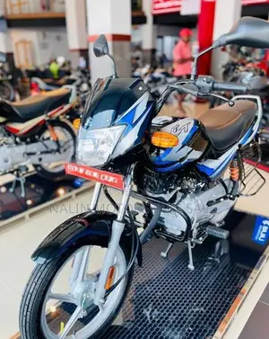 Bajaj CT100 2026