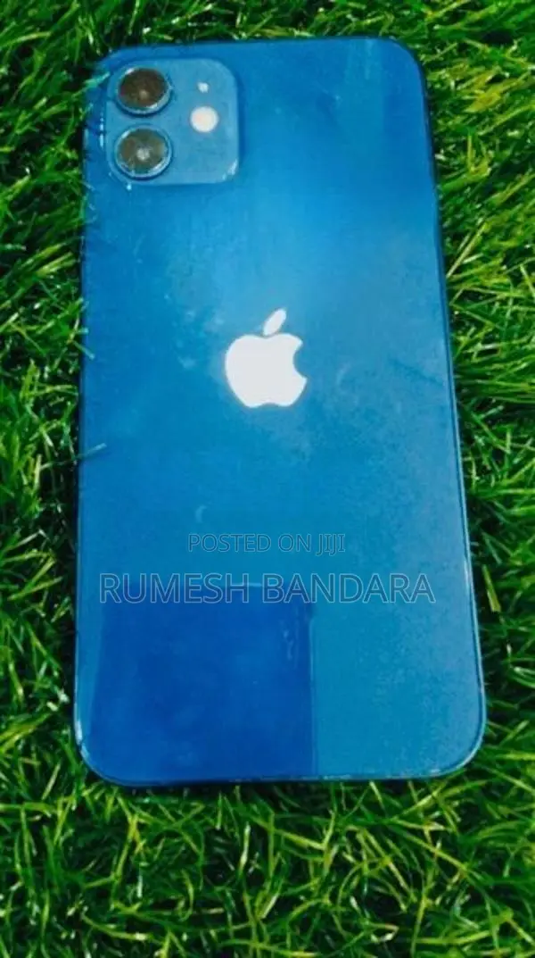 Apple iPhone 12 Blue Japan (Used)