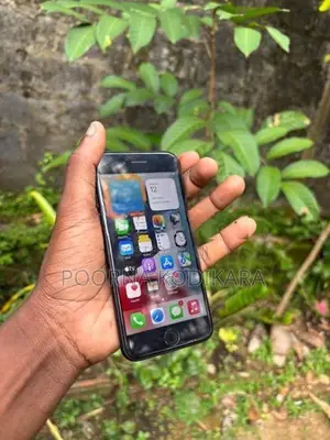 Apple iPhone 7 (Used)