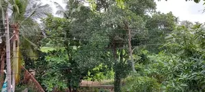Residential Land for Sale Mattegoda