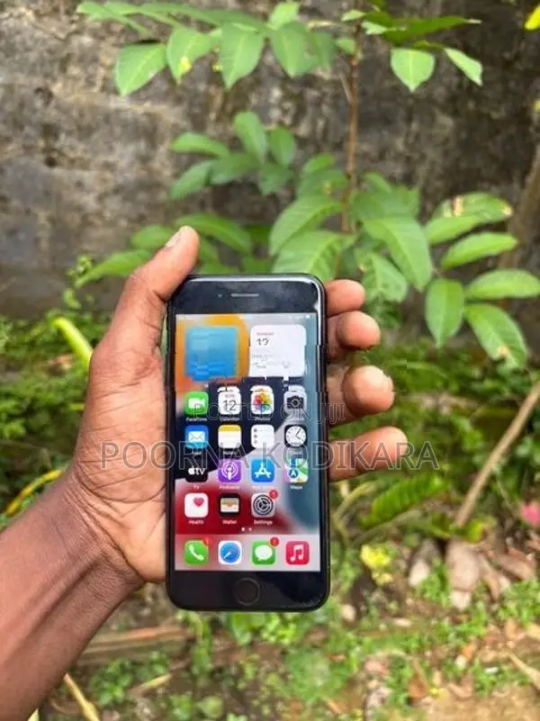 Apple iPhone 7 (Used)