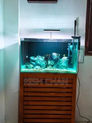 Fish Tank