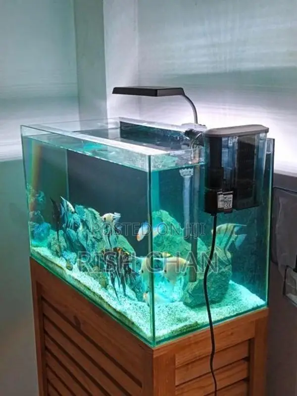 Fish Tank