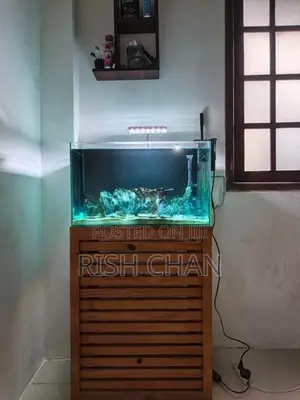 Fish Tank