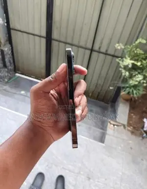 Apple iPhone 13 Pro (Used)