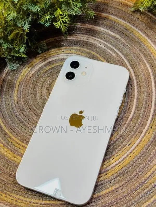 Apple iPhone 12 256GB (Used)