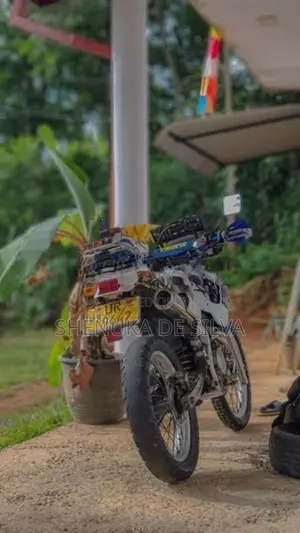 Honda Degree 2005