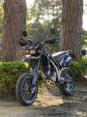 Kawasaki D Tracker 2007