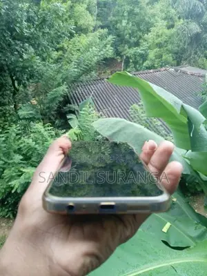 Xiaomi Redmi 15C (Used)