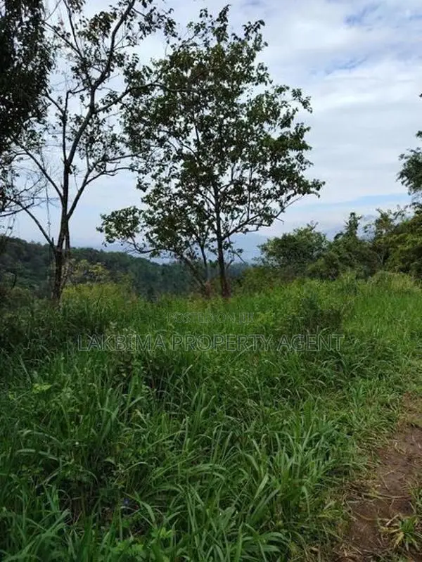 Land for Sale in Kandy Thannakumbura