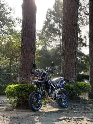 Kawasaki D Tracker 2007