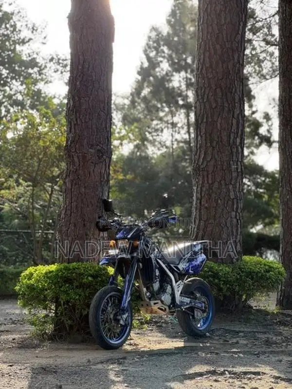 Kawasaki D Tracker 2007