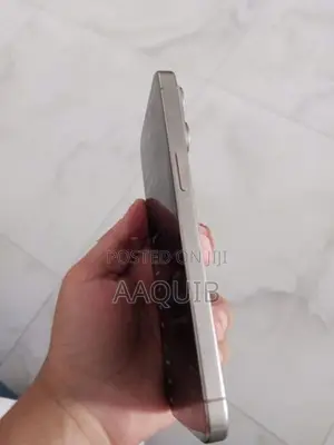 Apple iPhone 15 Pro Max (Used)