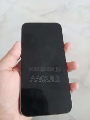 Apple iPhone 15 Pro Max (Used)