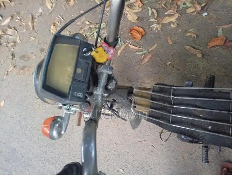 Singer Safari 2020