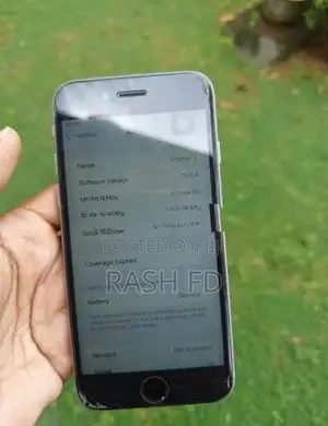Apple iPhone 6S (Used)