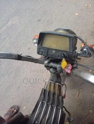 Singer Safari 2020