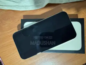 Apple iPhone 13 Pro Max 256GB (Used)