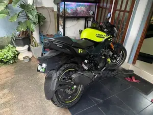 Hero Hunk 160R 2025
