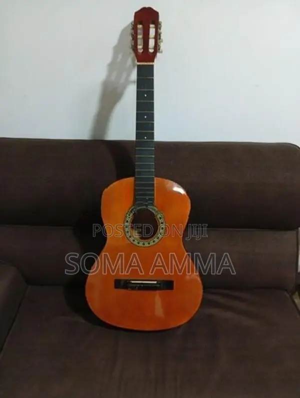 Guitar