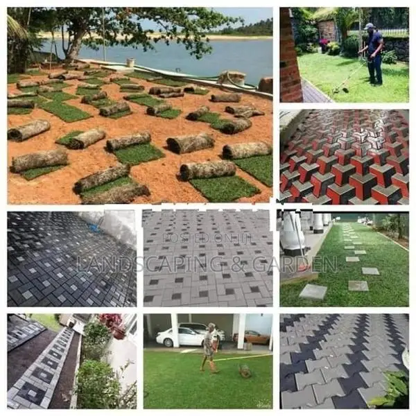 Malaysian Grass
