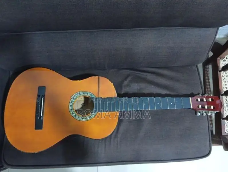 Guitar