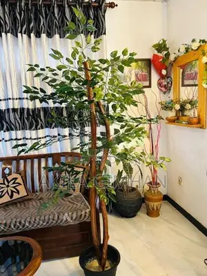Artificial Tree / Bonsai