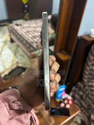 Apple iPhone 15 Pro Max 2025 (Used)
