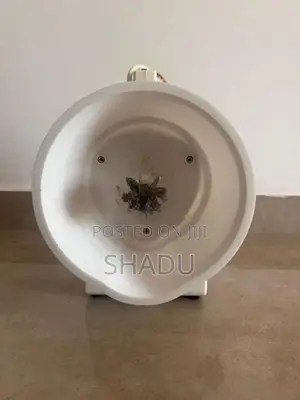 Regins Coconut Scraper