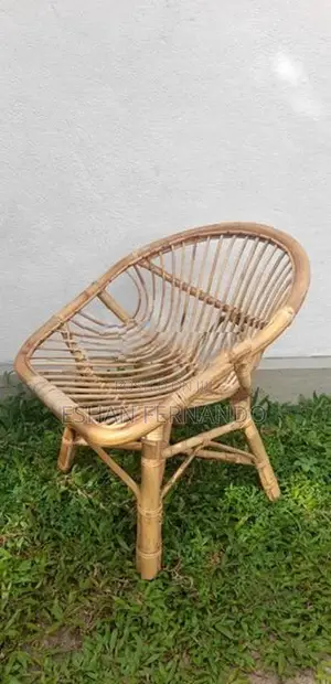 Garden Cane Chair