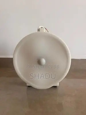 Regins Coconut Scraper