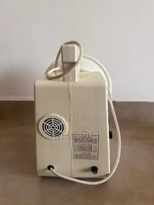 Regins Coconut Scraper