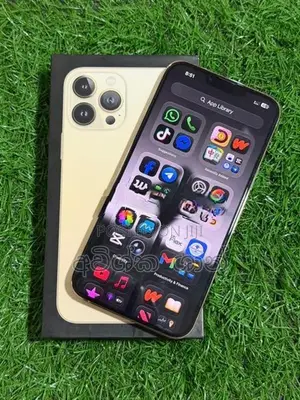 Apple iPhone 13 Pro Max 256GB (Used)