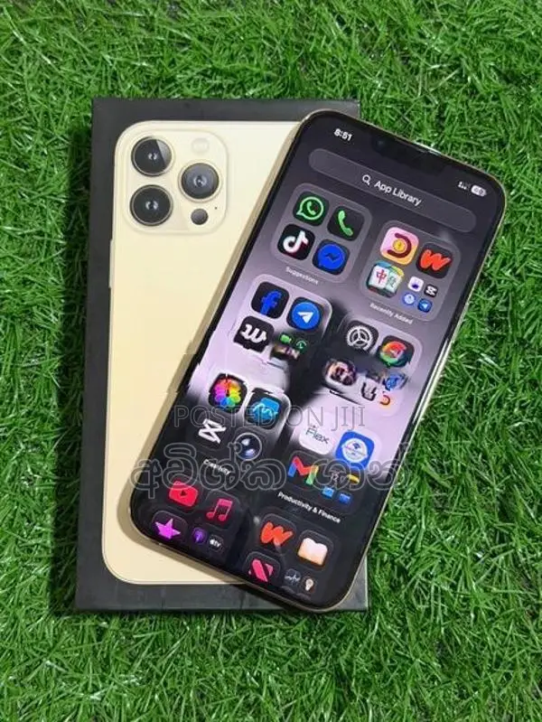 Apple iPhone 13 Pro Max 256GB (Used)