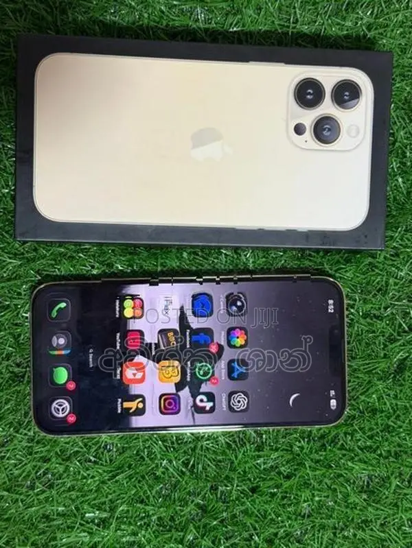 Apple iPhone 13 Pro Max 256GB (Used)