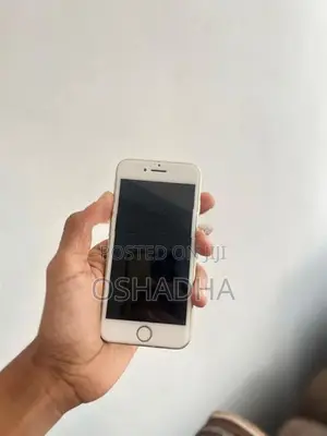 Apple iPhone 7 (Used)