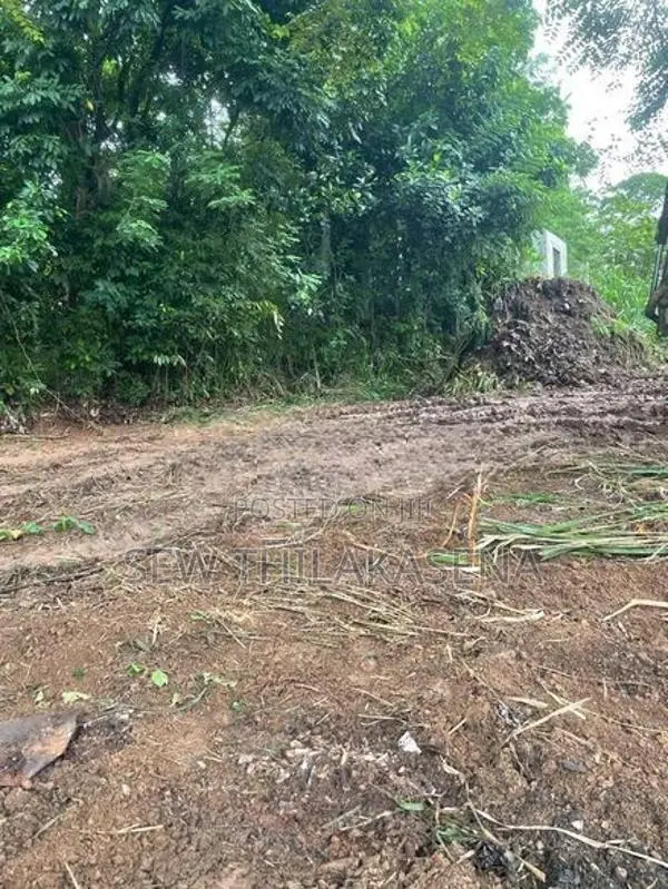 Land for Sale in Polgasowita