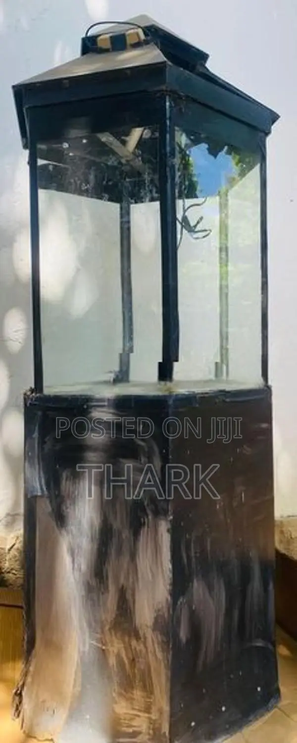 Fish Tank