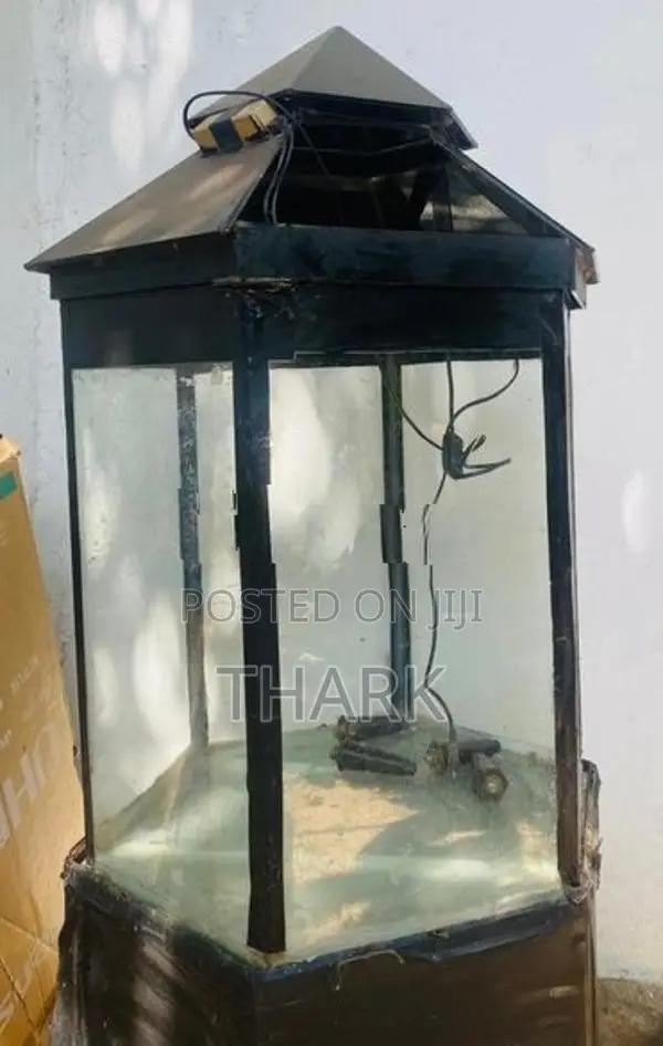 Fish Tank