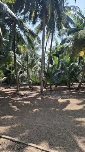 House for Sale Panadura