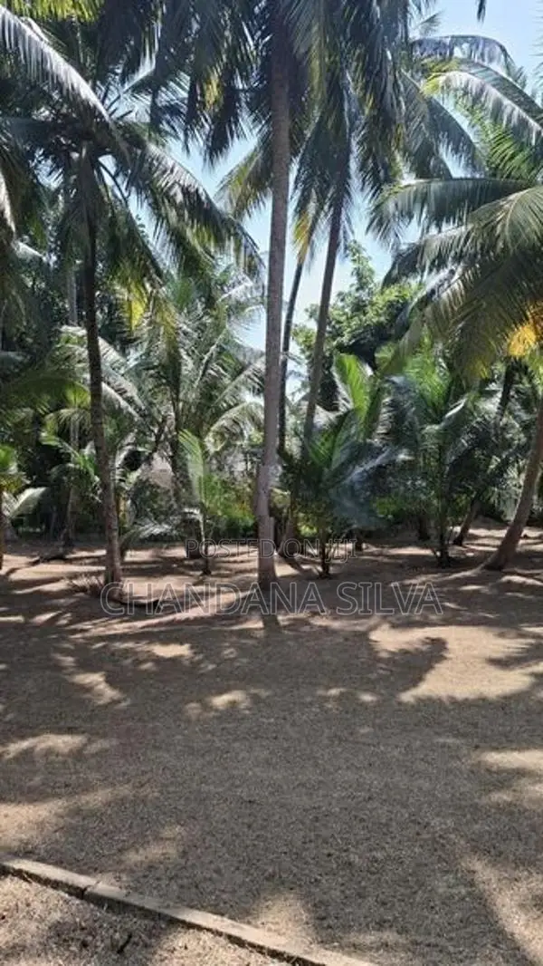 House for Sale Panadura