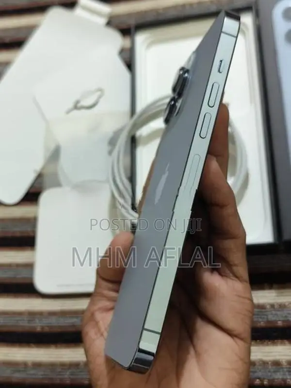 Apple iPhone 13 Pro Max 256GB (Used)