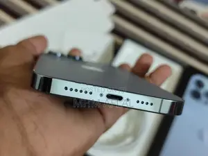 Apple iPhone 13 Pro Max 256GB (Used)