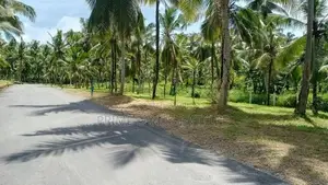 Land for Sale in Kadawatha Waboda