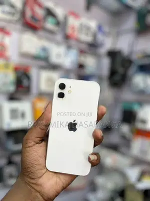 Apple iPhone 12 (Used)